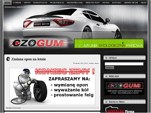 Profesjonalny warsztat samochodowy.